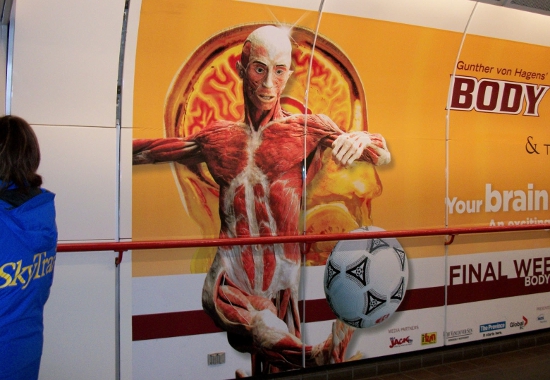 Large advertisement for the Body Worlds exhibit showing a plastinated human figure with exposed muscles posed mid-action, balancing a soccer ball, set against a bright yellow background with a brain image behind the head; part of the ad is visible in a public transit station.