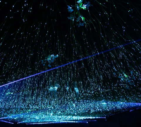 Thousands of blue and green fiber-optic lights cascading downward like luminous rain in a dark space, with scattered floral light accents near the ceiling.