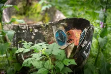 A weathered carved wooden totem with faded blue, orange, and black paint, partially overgrown with lush green vegetation on a forest floor.