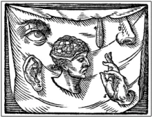 Comenius’s explanation of sensus communis  from Orbis Sensualium Pictus (1659)