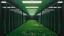 A data center corridor lined with server racks, with the floor replaced by lush green grass dotted with wildflowers and dandelions, bathed in green-tinted light.