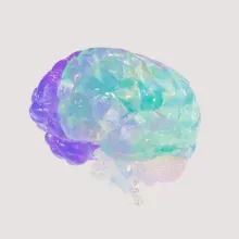 Art of a human brain